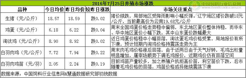 鸡评.png