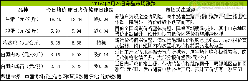 鸡评.png
