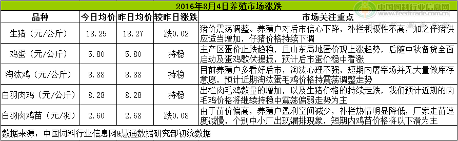 鸡评.png