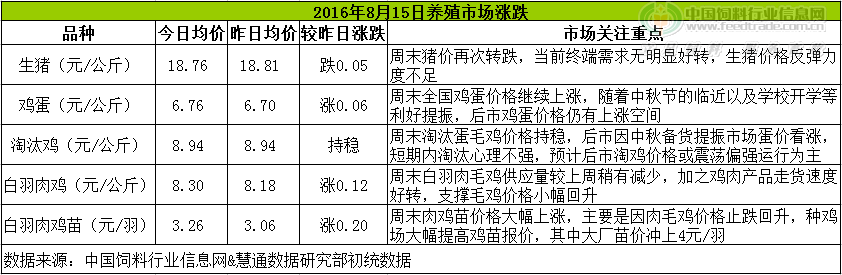 鸡评.png