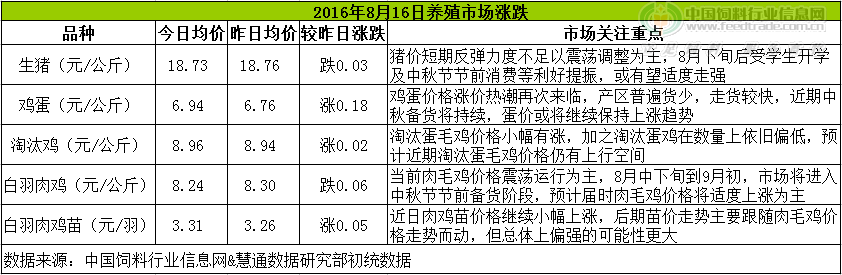 鸡评.png