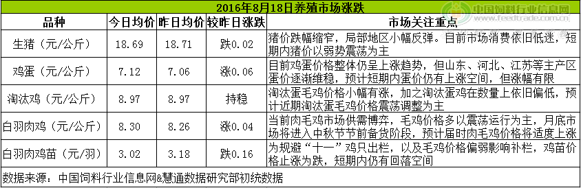 鸡评.png