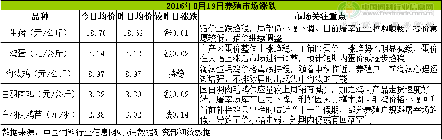 鸡评.png