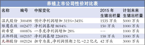 养殖企业集中推猪上市 养猪股中报业绩暴增