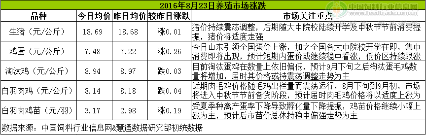 鸡评.png