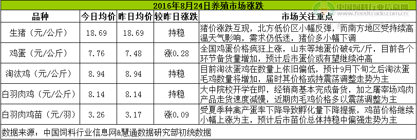 鸡评.png