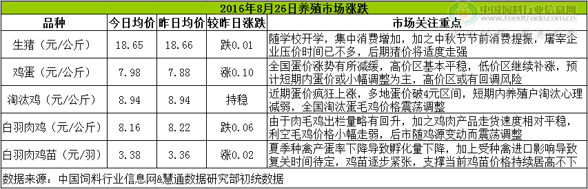 鸡评.png