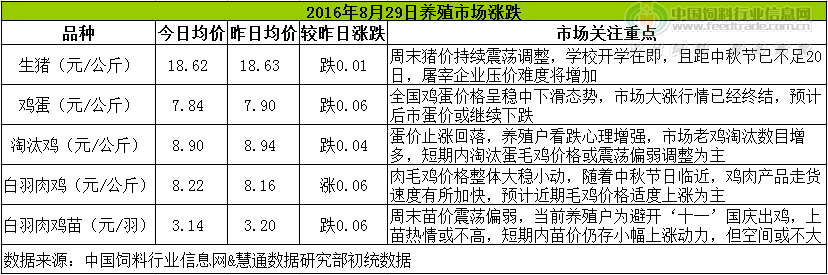 鸡评.png