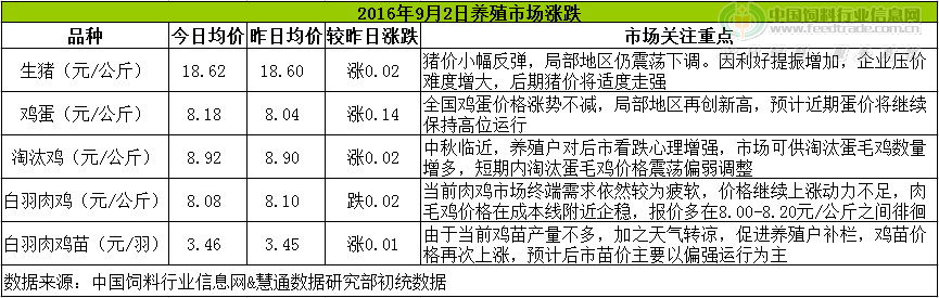 鸡评.png