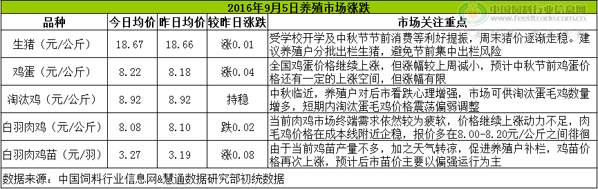鸡评.png
