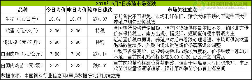 鸡评.png