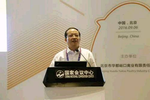 《中国蛋鸡养殖的规模、效率与效益》