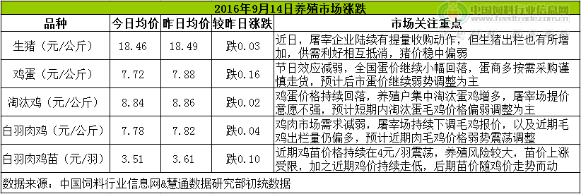 鸡评.png