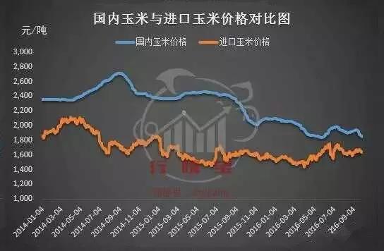 玉米价格暴跌的原因