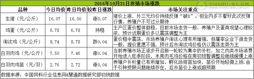 鸡评.png