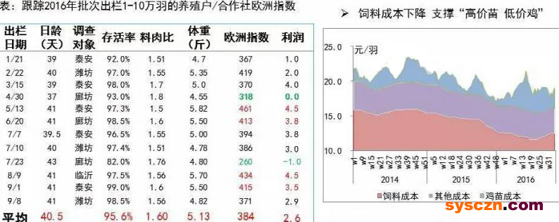 点击打开原图