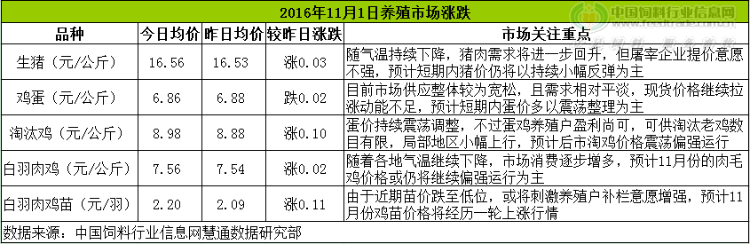 鸡评.png