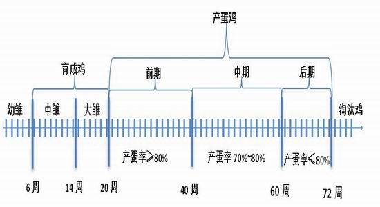 广发期货：供需矛盾加剧