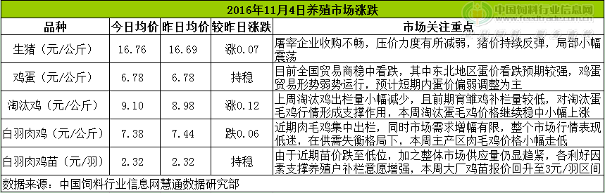 鸡评.png