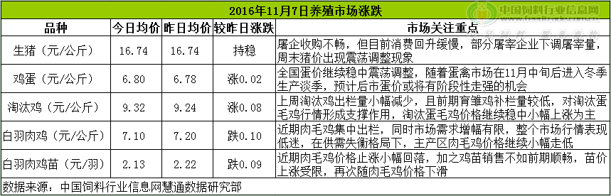鸡评.png