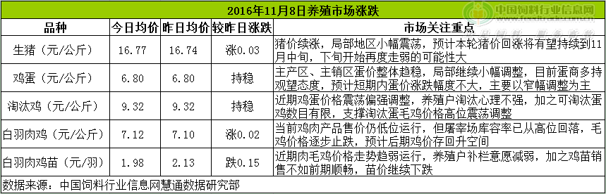 鸡评.png