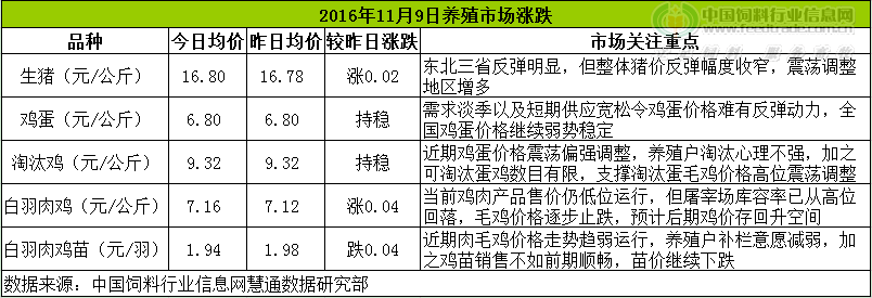 鸡评.png
