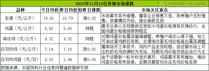鸡评.png