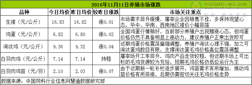 鸡评.png