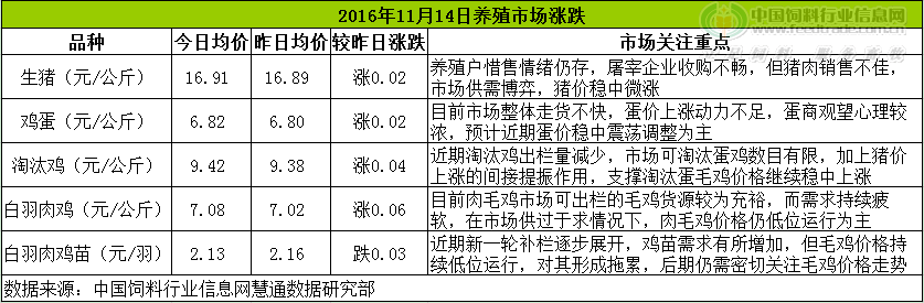 鸡评.png