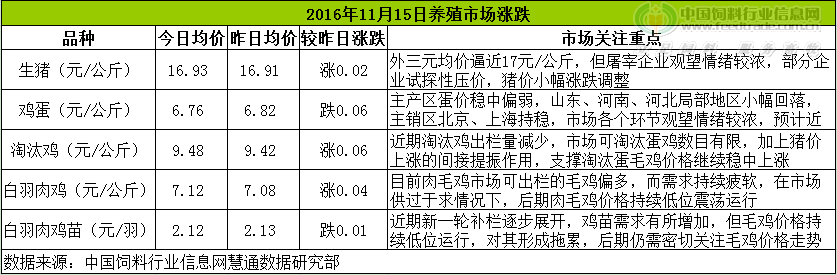鸡评.png