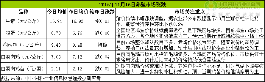 鸡评.png