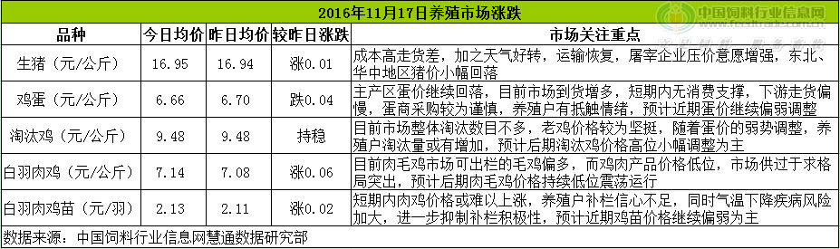 鸡评.png