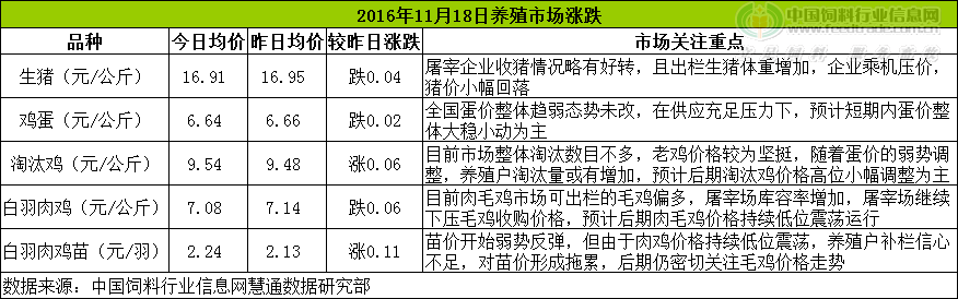 鸡评.png