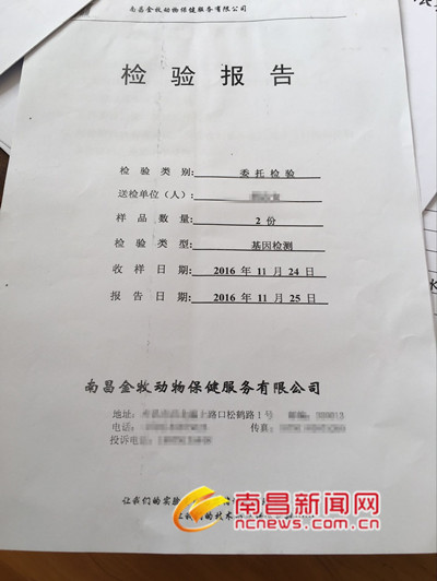 南昌一养猪场母猪大量流产死亡 疑似疫苗所致