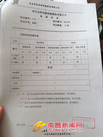 南昌一养猪场母猪大量流产死亡 疑似疫苗所致