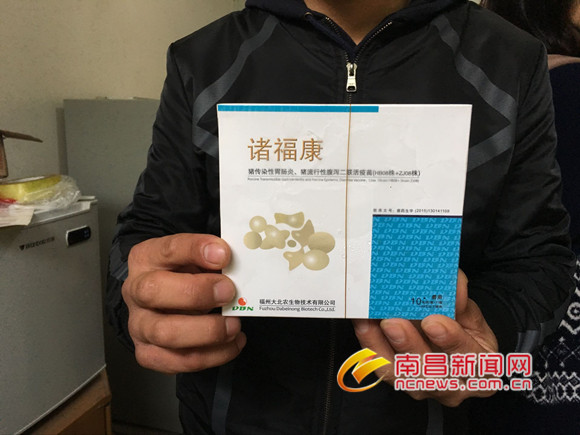 南昌一养猪场母猪大量流产死亡 疑似疫苗所致