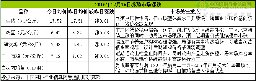 鸡评.png