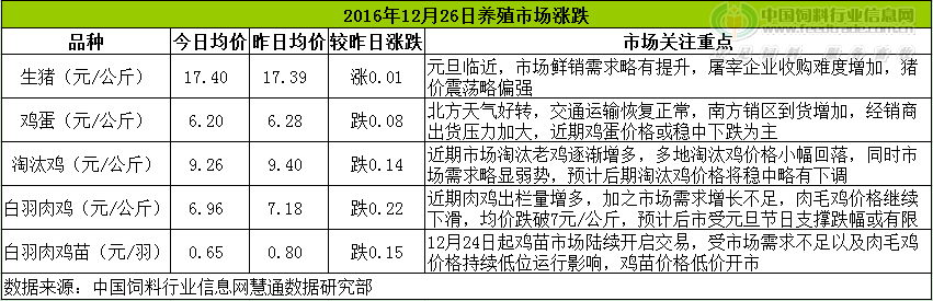 鸡评.png