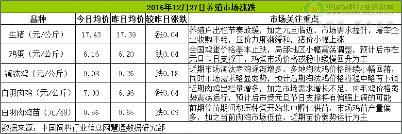 鸡评.png