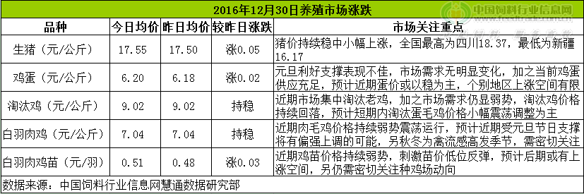 鸡评.png