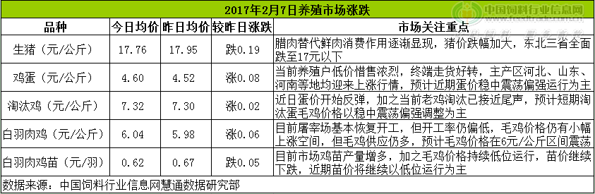 鸡评.png