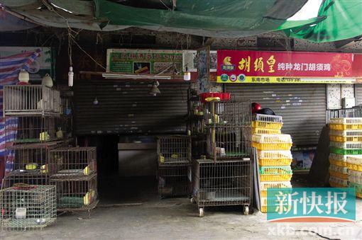 暂休市为防禽流感 市民均称能理解(1)