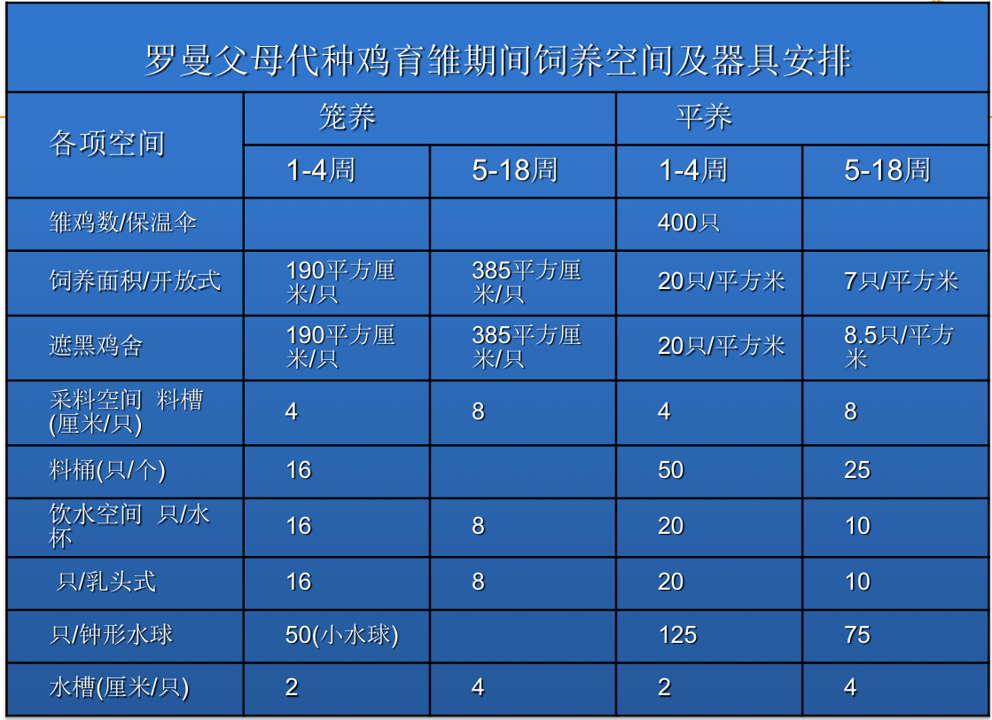 罗曼灰蛋鸡生产性能表图片