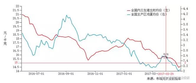 4月鸡蛋、生猪价格快速下跌 养殖户深受其害