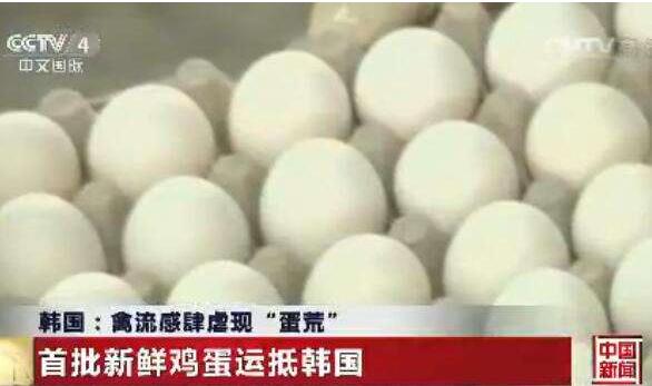这个国家蛋价飙升数倍至2元一个 养鸡人却苦不堪言
