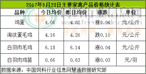 鸡评.png