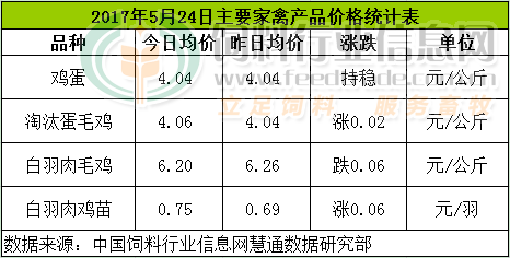 鸡评.png