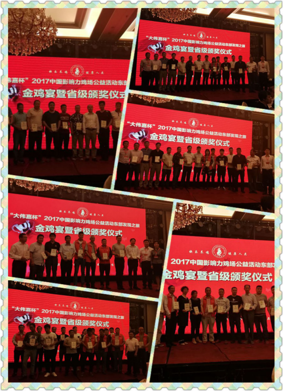 图片27.png