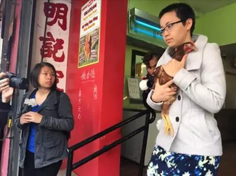 华裔"围攻"华人鸡店解救6只母鸡 还为鸡办了葬礼 图2 华裔"围攻"华人鸡店解救6只母鸡 还为鸡办了葬礼 图2