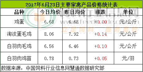 鸡评.png
